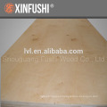 birch plywood made in China